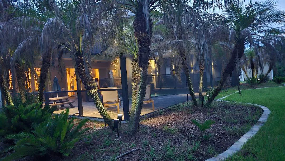 Palms uplit along a walkway