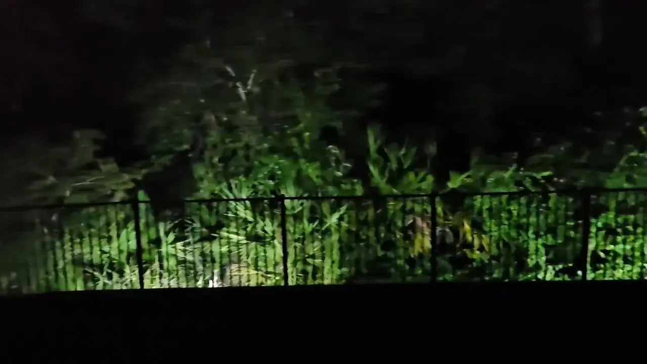 Garden beds and the fence line uplit at night