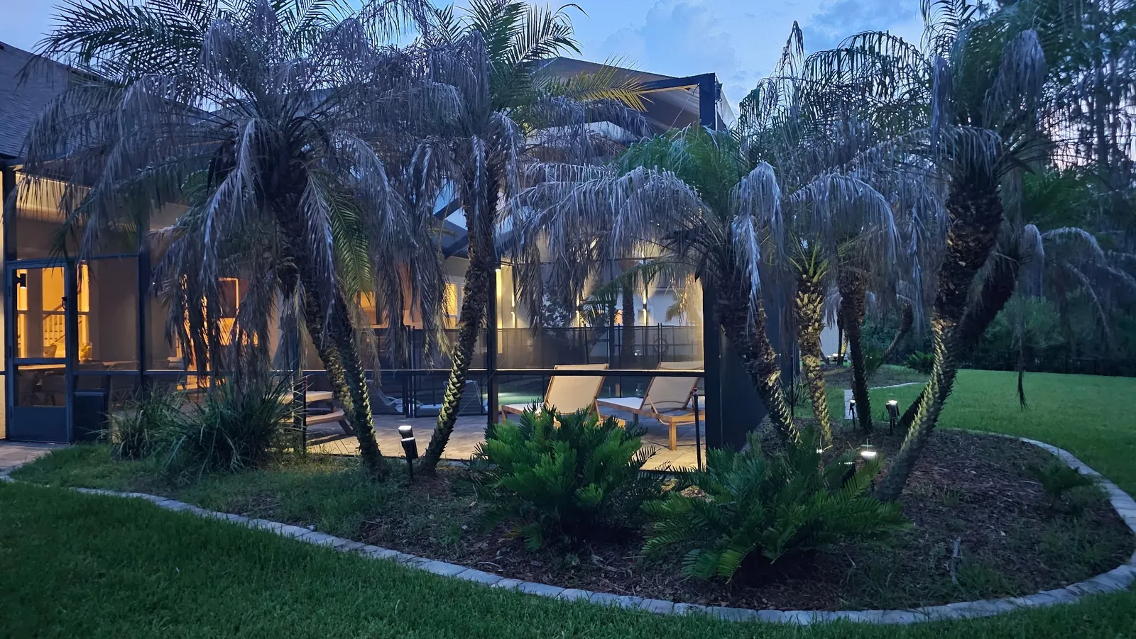 Palms and the house beyond the screen
