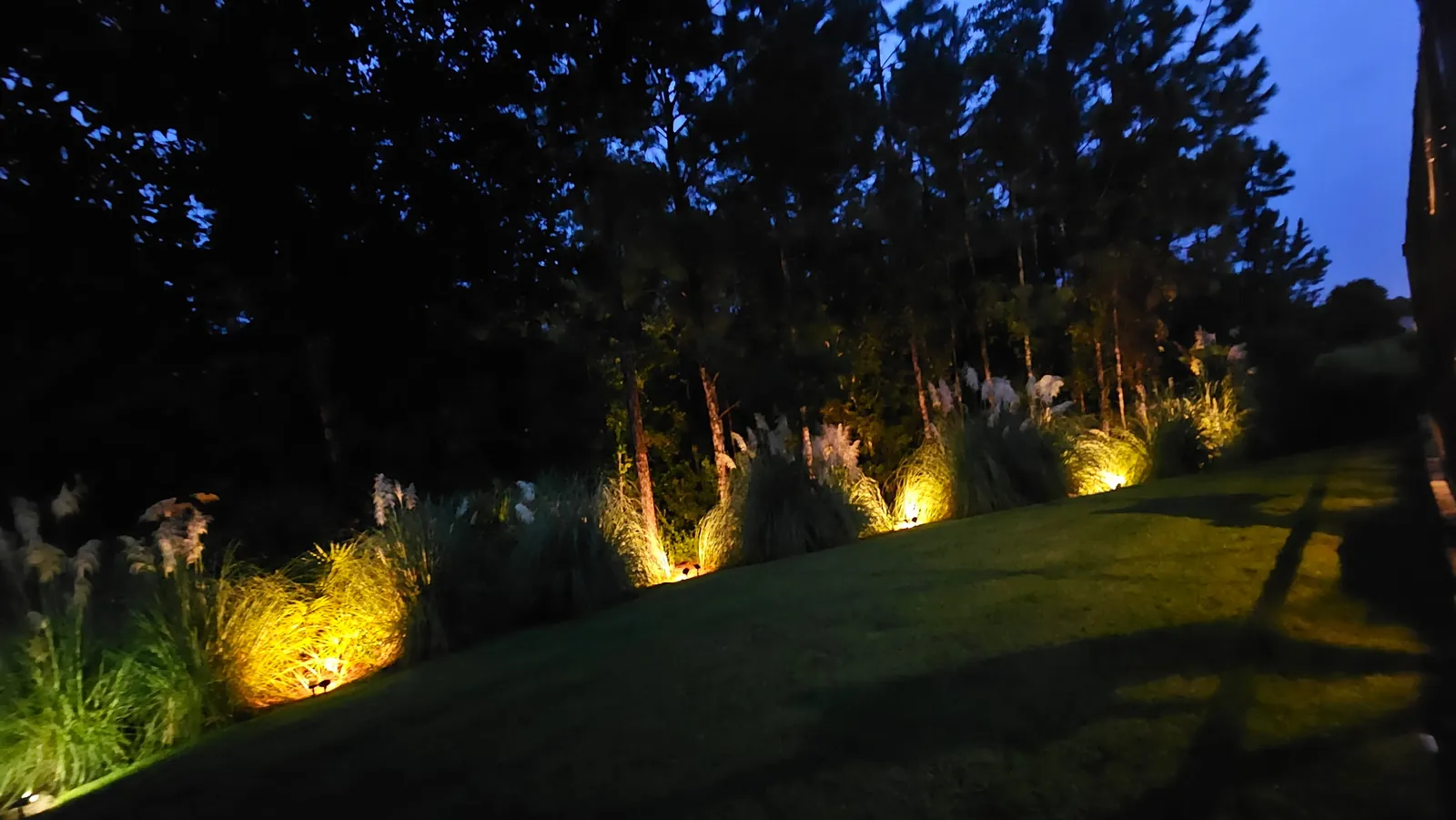 The lawn edge lit from the planting bed